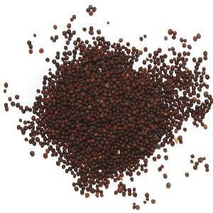 Mustard Seeds - Brown 50g