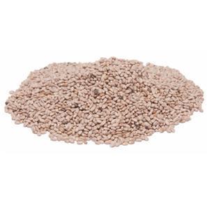 Chia Seeds - White 250g
