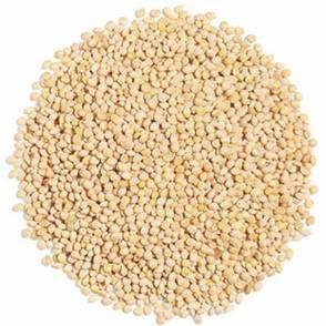 Millet - Organic