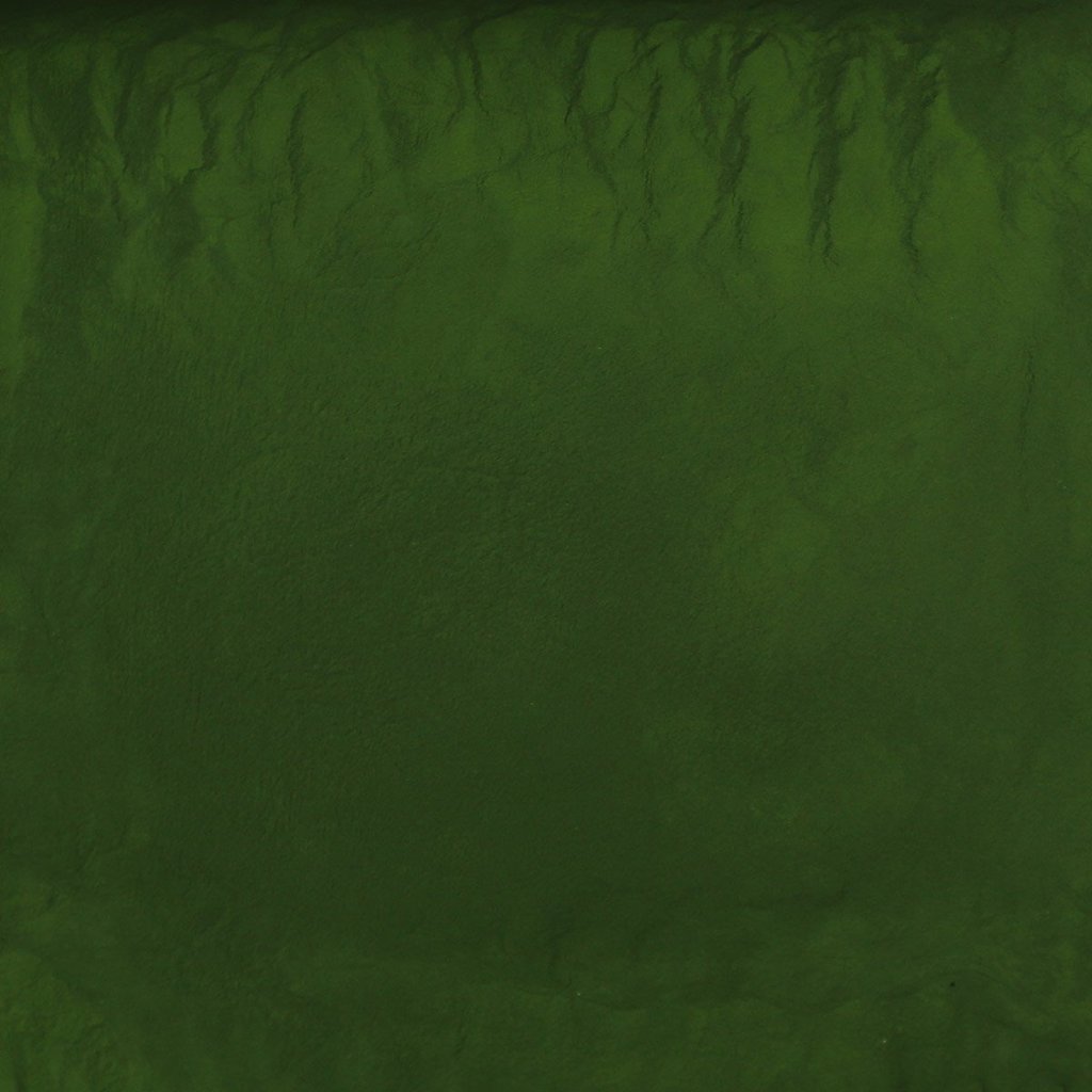 Organic Chlorella, cracked cell, powder 50g