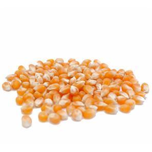 Popcorn - Yellow 1KG