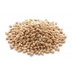 Barley - Hulled - Organic