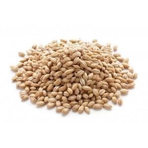Barley - Hulled  500g