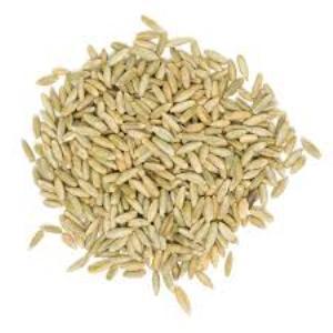 Rye Kernels  500g