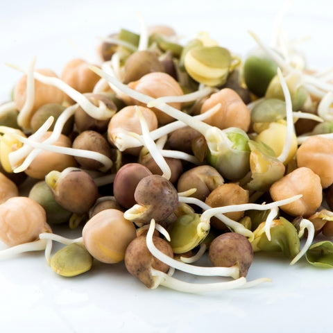 Sprouting Seeds - Crunchy Bean Mix - 100g