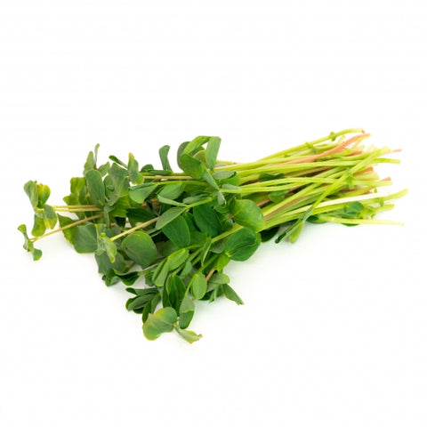 Sprouting Seeds - Microgreen Salad Mix - 100g