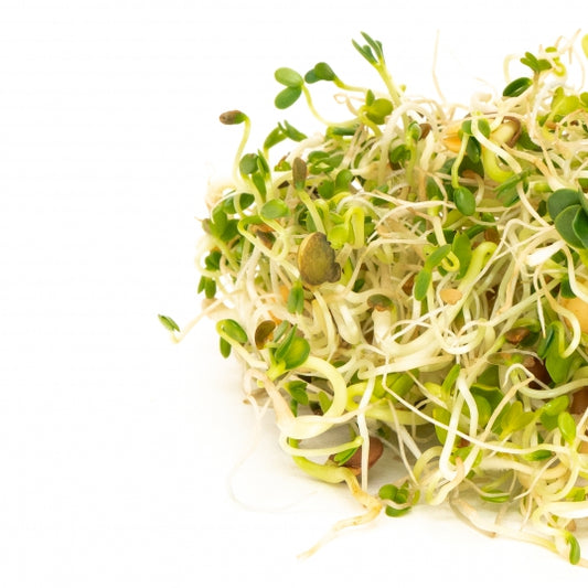 Sprouting Seeds - Spicy Lentil Crunch - 100g