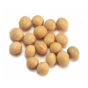Soy Beans  1KG