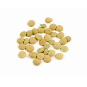 Green Lentils  1KG