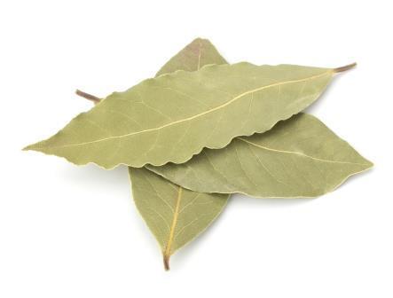 Bay Leaf  5g