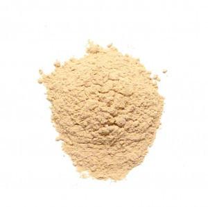 Astragalus Root Powder - Organic