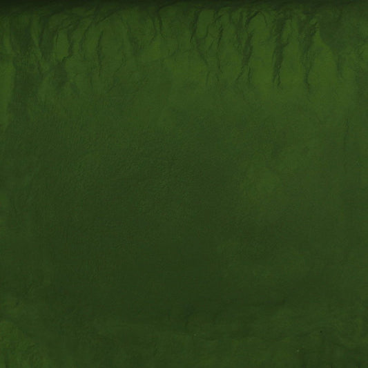 Organic Chlorella, cracked cell, powder 50g