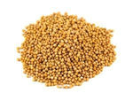 Mustard Seeds - Yellow  50g