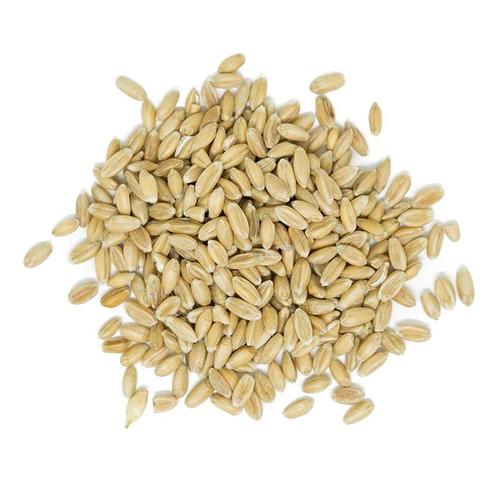 Spelt Kernels  500g