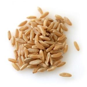 Kamut Kernels  500g