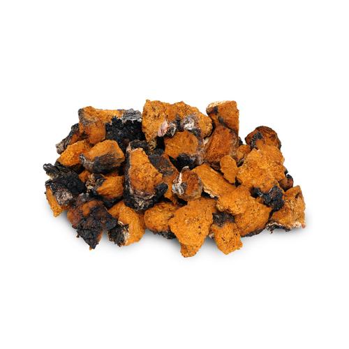Chaga Mushroom Pieces  50g